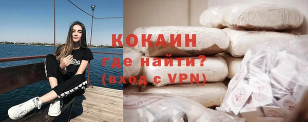 тгк Абаза