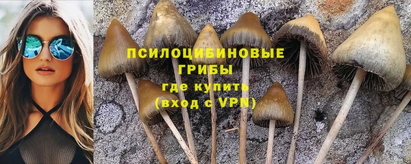 спайс Абдулино
