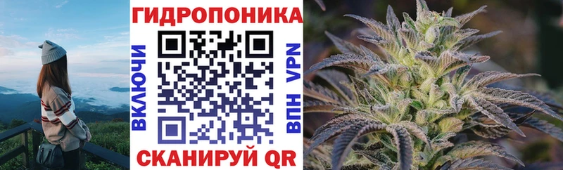 Марихуана индика Елизаветинская